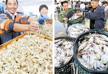 渤海休渔结束，开海喜迎丰收