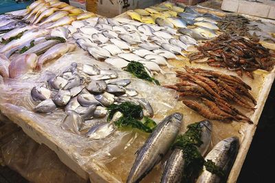 武夷山路海鲜市场 休渔期依旧琳琅满目，价格亲民选择多样