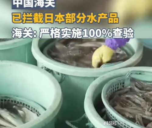 中国海关强化对日本水产品进口监管，日本媒体高度关注农产品安全议题