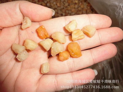 北海干贝瑶柱 一手货源的渔民直达营养之选