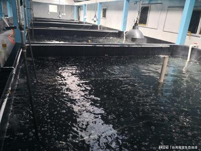 工厂化水产养殖 科技引领下的现代水产品生产方式
