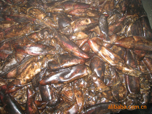 船冻红鱿鱼 价格、厂家与粗加工水产品市场解析