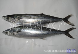 荣成市海思特水产品冷冻厂 精选冷冻粗加工水产品产品列表